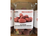 Bio sadbové zemiaky RED SCARLETT 1kg skoré