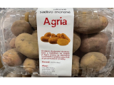 BIO sadbové zemiaky Agria 1 kg balenie stredne skoré 