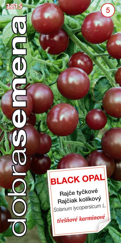 Rajčiny BLACK OPAL kolíkové čerešňové 10s DS