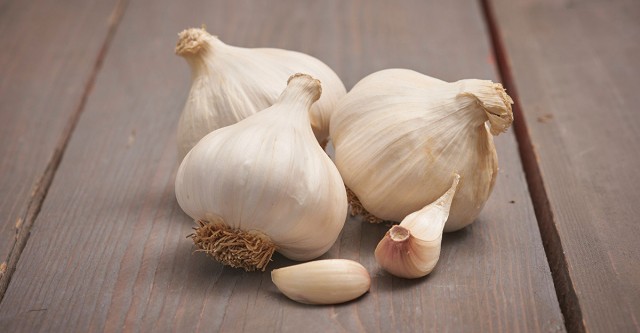 Cesnak sadbový jesenný MESSIDROME 5ks