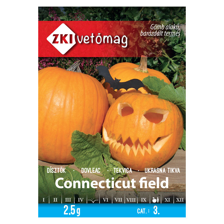 TEKVICA CONNECTICUT FIELD 3g ZKI