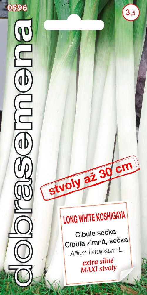Cibuľa LONG WHITE KOSHIGAYA  sečka 1,8g 0596 DS