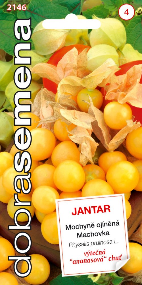 Machovka JANTAR ananásová 0,2g 2146 DS