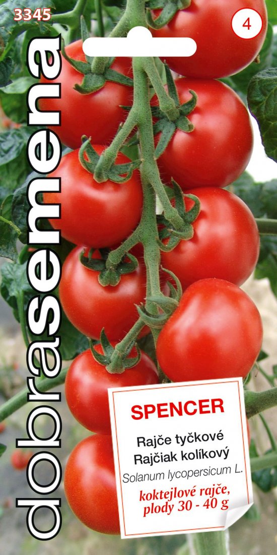 Rajčiny SPENCER kolík,koktail 30s 3345  DS