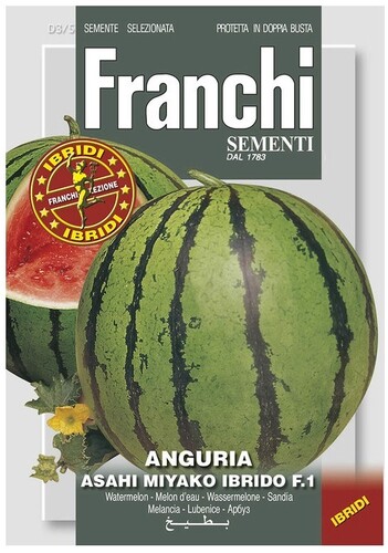 Melón ASAHI MIYAKO F1  0,5g FRANCHI D 3/5