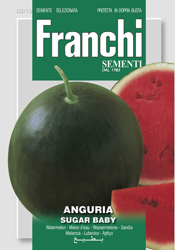 Melón SUGAR BABY  5g FRANCHI D 3/10