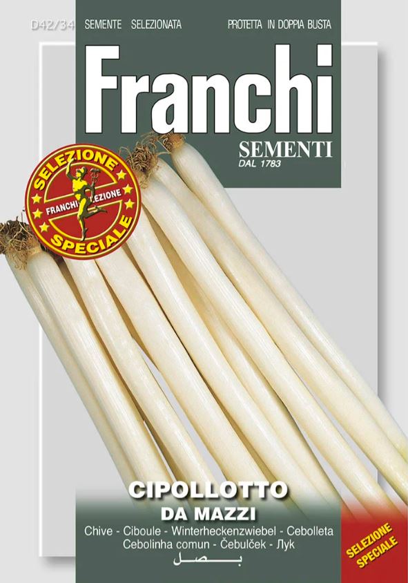 Cibuľa zimná DA MAZZI F1  5g FRANCHI D 42/34