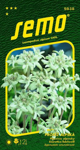 Plesnivec alpínsky Edelweiss 9838 0,1 gr SEMO